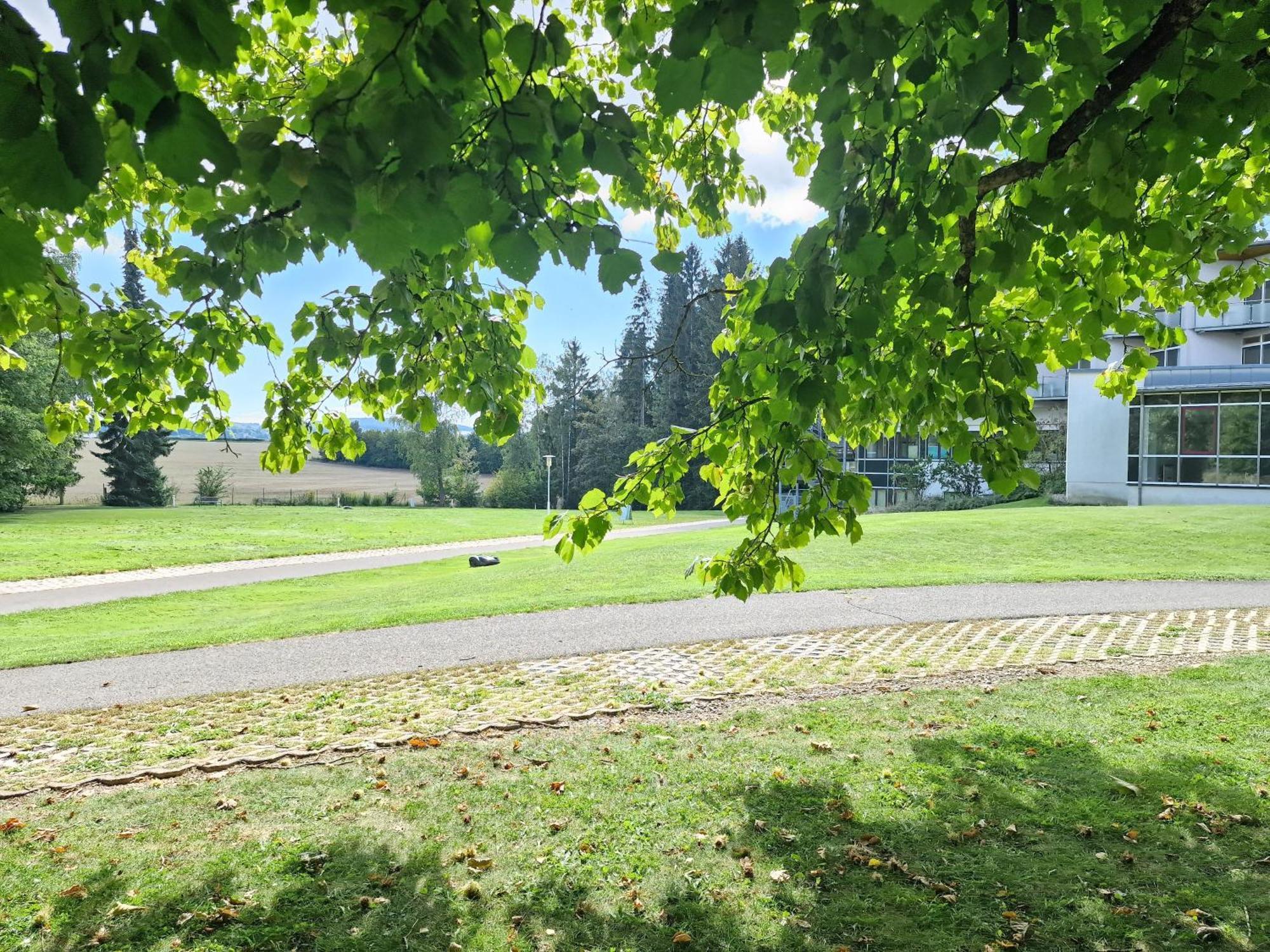 Green Night Hotel Falkenstein  Exterior photo